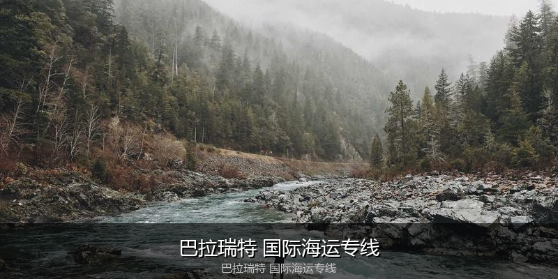 中国到澳洲海运专线服务优势与价格指南